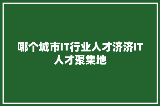 哪个城市IT行业人才济济IT人才聚集地 搜狗SEO