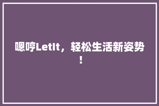 嗯哼LetIt，轻松生活新姿势！ 网站建设公司
