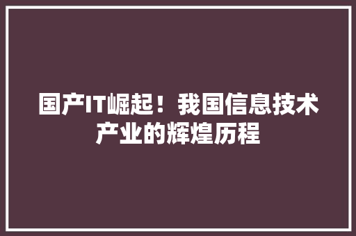 国产IT崛起！我国信息技术产业的辉煌历程 网站建设公司