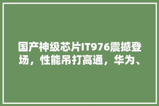 国产神级芯片IT976震撼登场，性能吊打高通，华为、小米纷纷抢购！