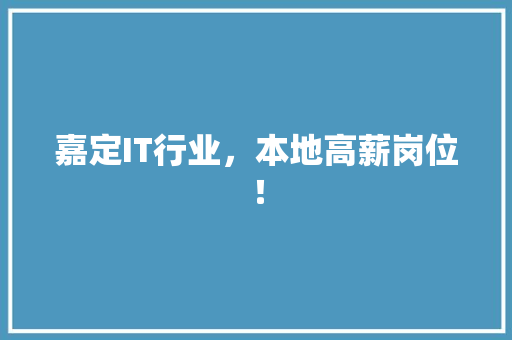 嘉定IT行业，本地高薪岗位！ SEO关键词