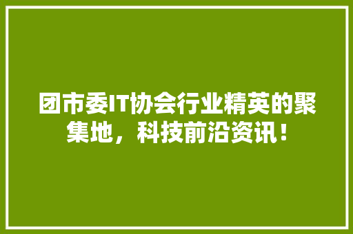 团市委IT协会行业精英的聚集地，科技前沿资讯！