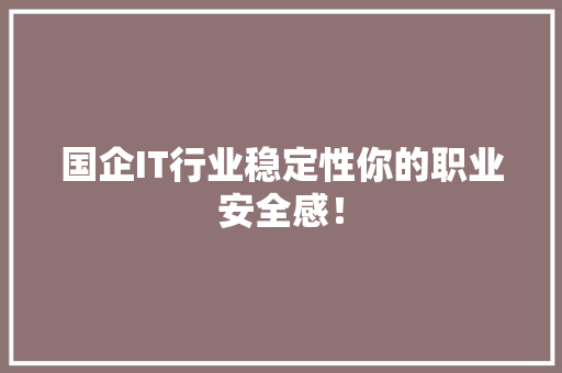 国企IT行业稳定性你的职业安全感！ 百度SEO