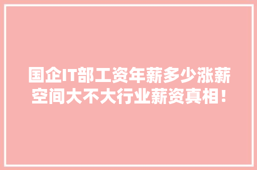 国企IT部工资年薪多少涨薪空间大不大行业薪资真相！ 网站建设公司