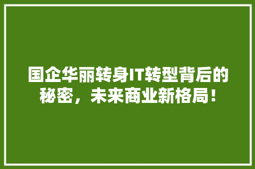 国企华丽转身IT转型背后的秘密，未来商业新格局！ 必应SEO
