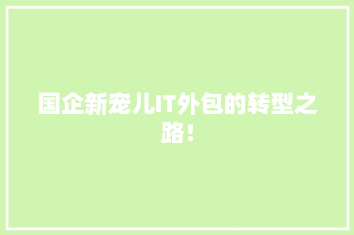 国企新宠儿IT外包的转型之路！ 必应SEO