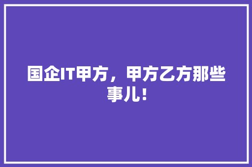 国企IT甲方，甲方乙方那些事儿！ 百度SEO