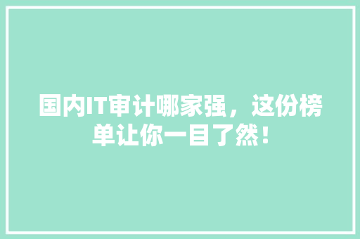 国内IT审计哪家强，这份榜单让你一目了然！ 搜狗SEO