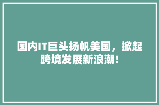 国内IT巨头扬帆美国，掀起跨境发展新浪潮！ 必应SEO