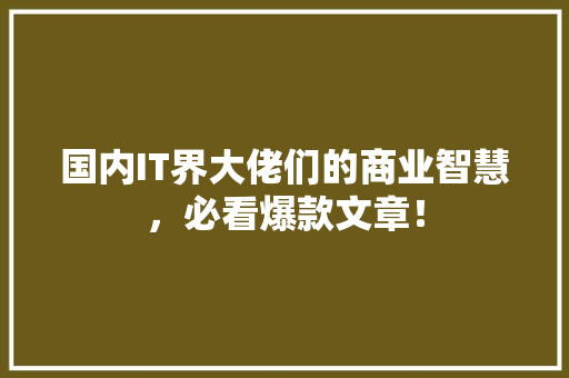 国内IT界大佬们的商业智慧，必看爆款文章！ SEO关键词