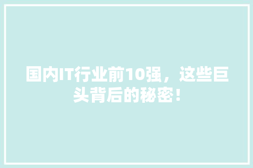 国内IT行业前10强，这些巨头背后的秘密！ 必应SEO