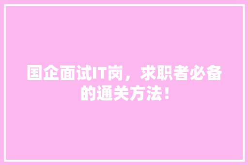 国企面试IT岗，求职者必备的通关方法！ 神马SEO