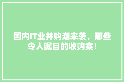 国内IT业并购潮来袭，那些令人瞩目的收购案！ 搜狗SEO