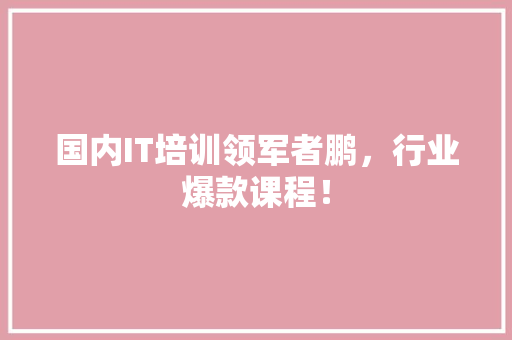 国内IT培训领军者鹏，行业爆款课程！ SEO关键词