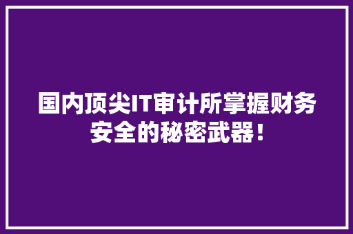 国内顶尖IT审计所掌握财务安全的秘密武器！ 搜狗SEO
