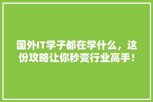 国外IT学子都在学什么，这份攻略让你秒变行业高手！ 必应SEO