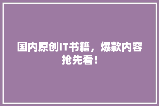 国内原创IT书籍，爆款内容抢先看！ 神马SEO