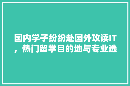 国内学子纷纷赴国外攻读IT，热门留学目的地与专业选择 神马SEO