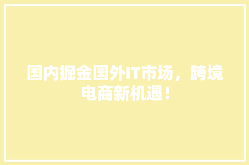 国内掘金国外IT市场，跨境电商新机遇！ SEO关键词