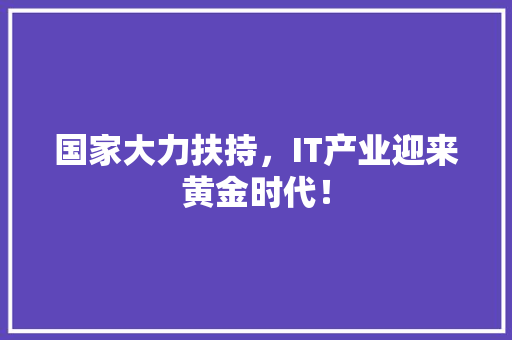 国家大力扶持，IT产业迎来黄金时代！ 搜狗SEO