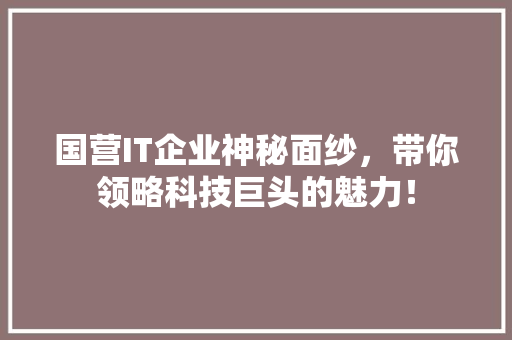 国营IT企业神秘面纱，带你领略科技巨头的魅力！ 百度SEO