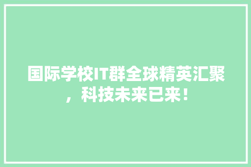 国际学校IT群全球精英汇聚，科技未来已来！ 必应SEO