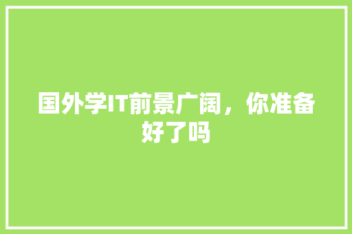 国外学IT前景广阔，你准备好了吗 百度SEO