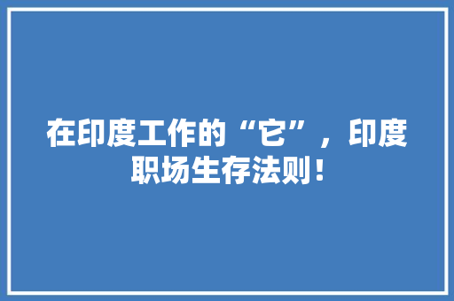 在印度工作的“它”，印度职场生存法则！ 必应SEO