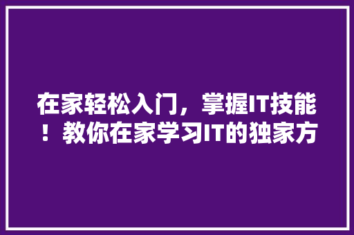 在家轻松入门，掌握IT技能！教你在家学习IT的独家方法 必应SEO