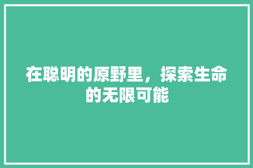 在聪明的原野里，探索生命的无限可能 SEO关键词