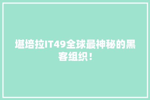 堪培拉IT49全球最神秘的黑客组织！ 必应SEO