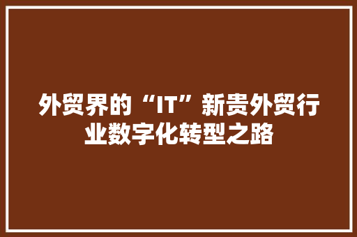 外贸界的“IT”新贵外贸行业数字化转型之路