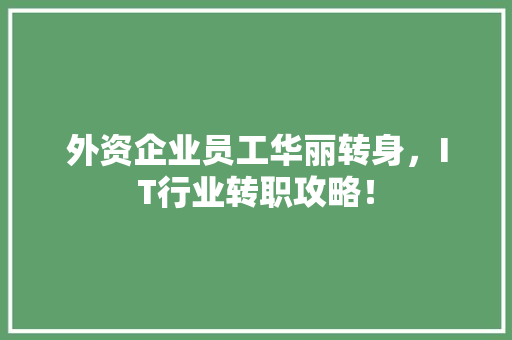 外资企业员工华丽转身，IT行业转职攻略！ 必应SEO