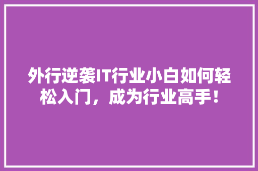 外行逆袭IT行业小白如何轻松入门，成为行业高手！ SEO关键词