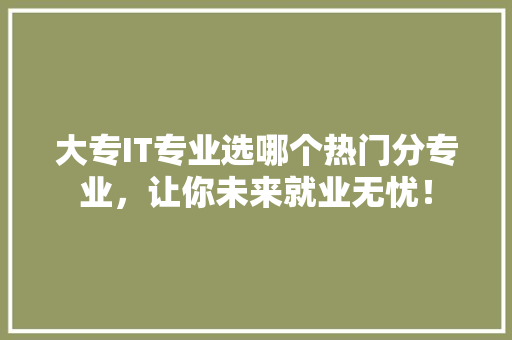 大专IT专业选哪个热门分专业，让你未来就业无忧！ 搜狗SEO