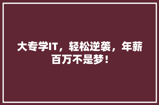 大专学IT，轻松逆袭，年薪百万不是梦！ 神马SEO