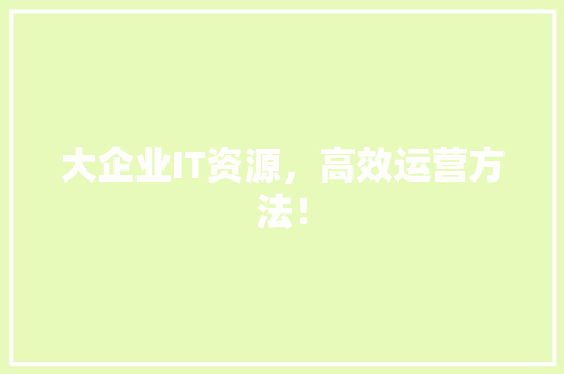 大企业IT资源，高效运营方法！ 神马SEO