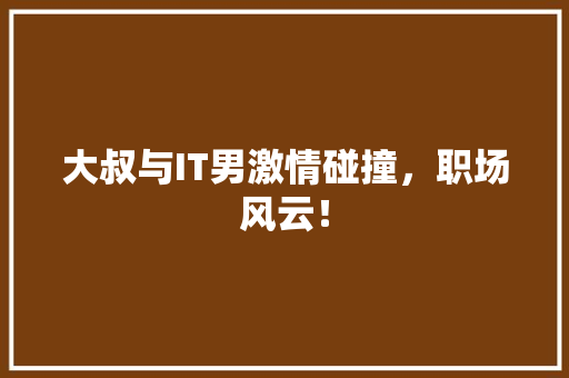 大叔与IT男激情碰撞，职场风云！ 百度SEO