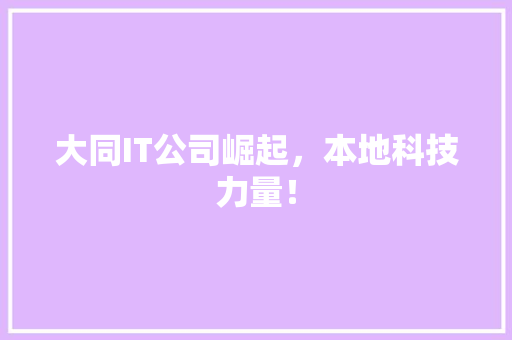 大同IT公司崛起，本地科技力量！ SEO关键词