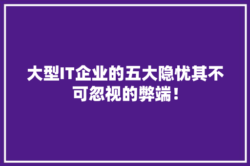 大型IT企业的五大隐忧其不可忽视的弊端！ 神马SEO