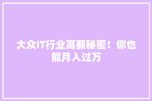 大众IT行业高薪秘密！你也能月入过万 百度SEO