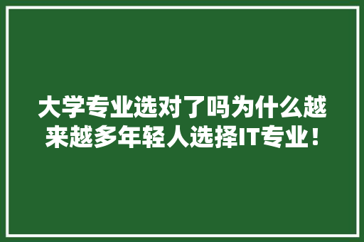 大学专业选对了吗为什么越来越多年轻人选择IT专业！ 百度SEO