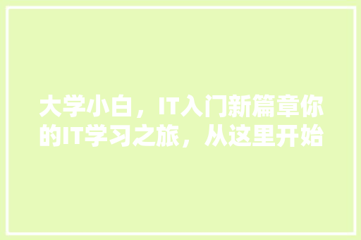 大学小白，IT入门新篇章你的IT学习之旅，从这里开始！ 神马SEO