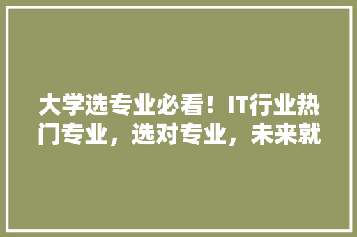 大学选专业必看！IT行业热门专业，选对专业，未来就业无忧 百度SEO
