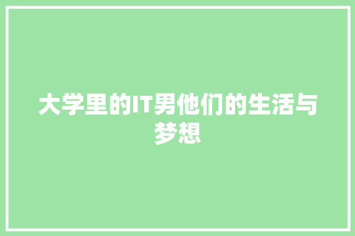 大学里的IT男他们的生活与梦想 百度SEO