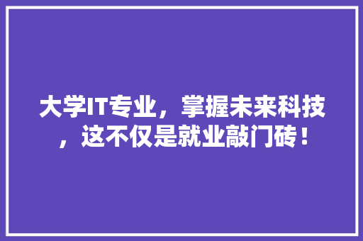 大学IT专业，掌握未来科技，这不仅是就业敲门砖！ 神马SEO