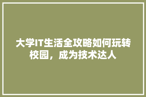 大学IT生活全攻略如何玩转校园，成为技术达人 百度SEO
