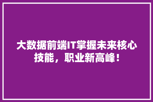 大数据前端IT掌握未来核心技能，职业新高峰！ 神马SEO