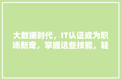 大数据时代，IT认证成为职场新宠，掌握这些技能，轻松晋升！ 必应SEO