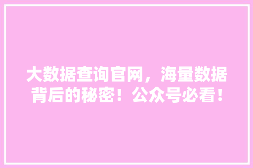 大数据查询官网，海量数据背后的秘密！公众号必看！ 必应SEO
